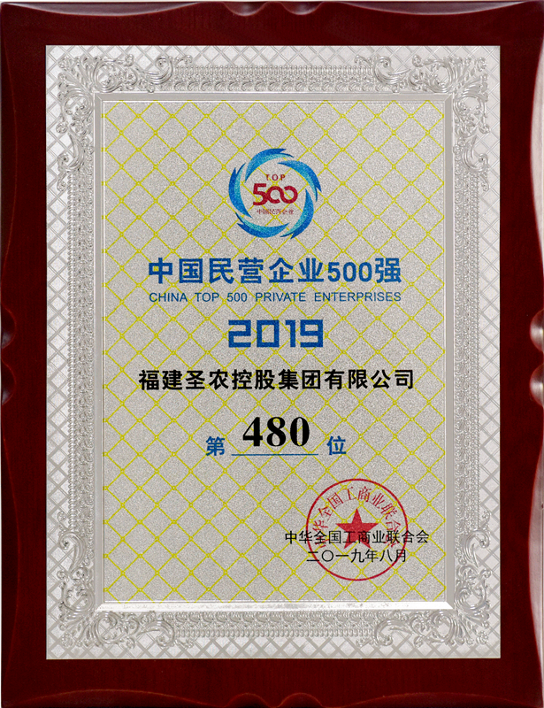 2019（名仕娱乐集团）中国民营企业500强